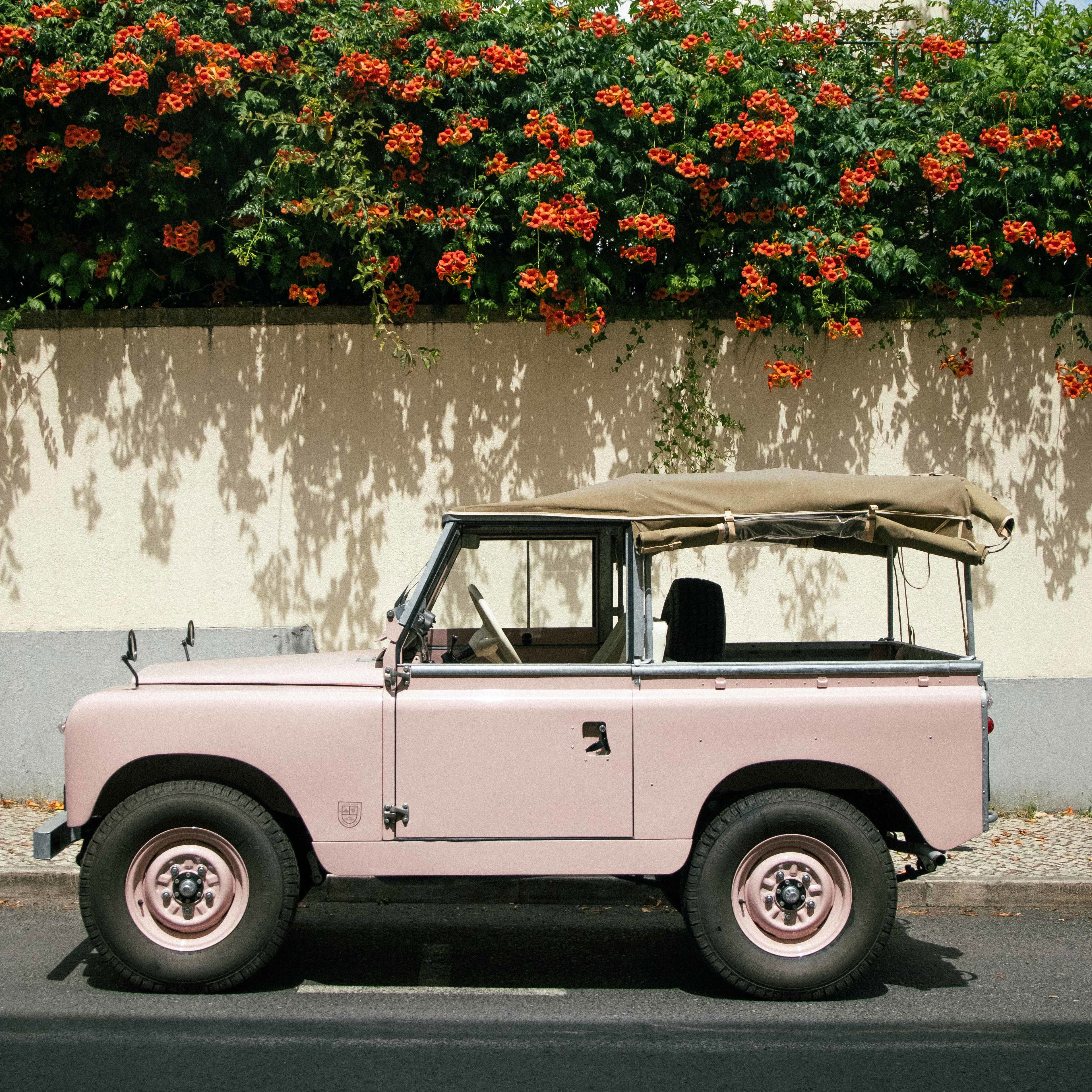 Hermetique Summer Pink | Baltic Watches