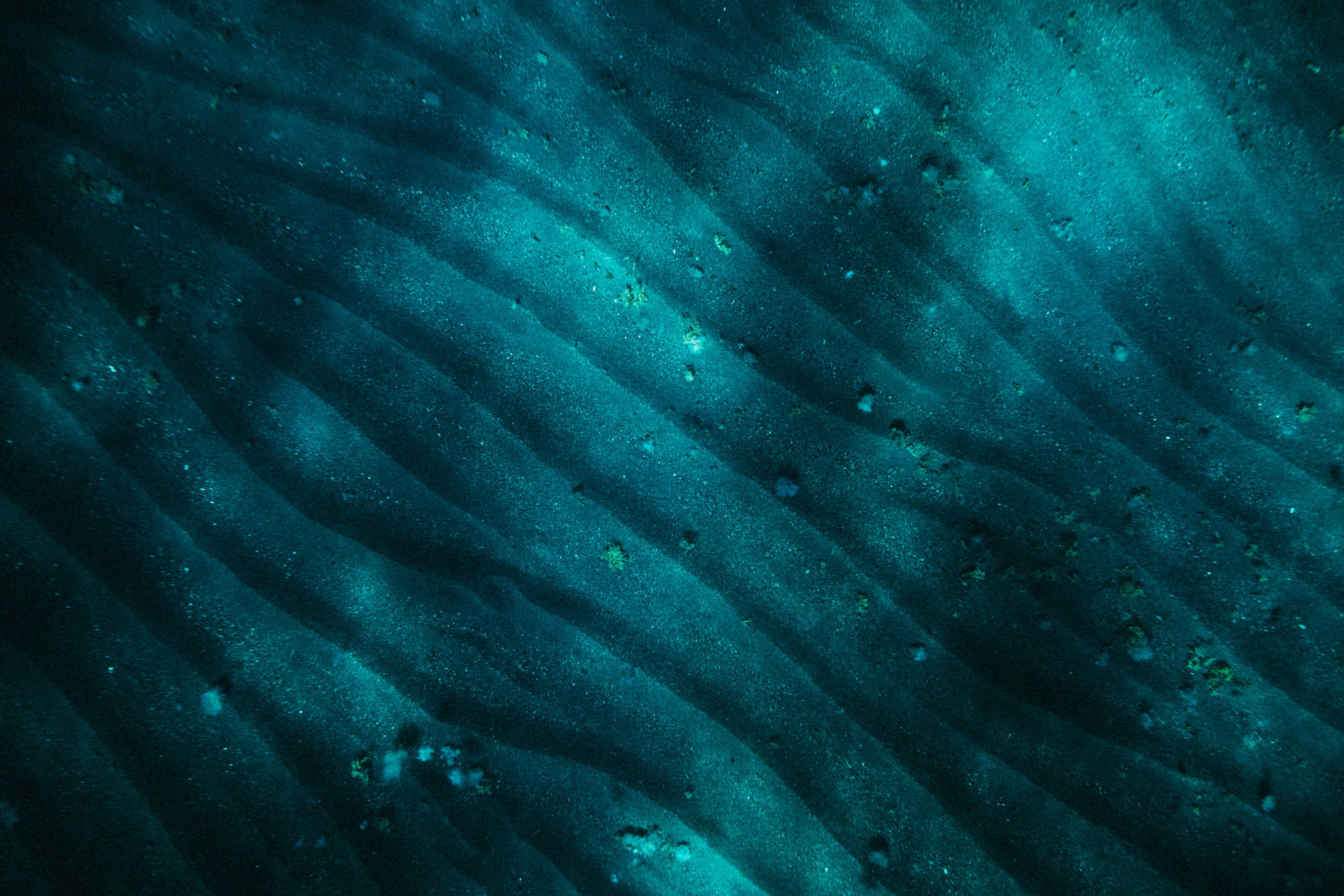 Hermétique Tourer Blue | Baltic Watches