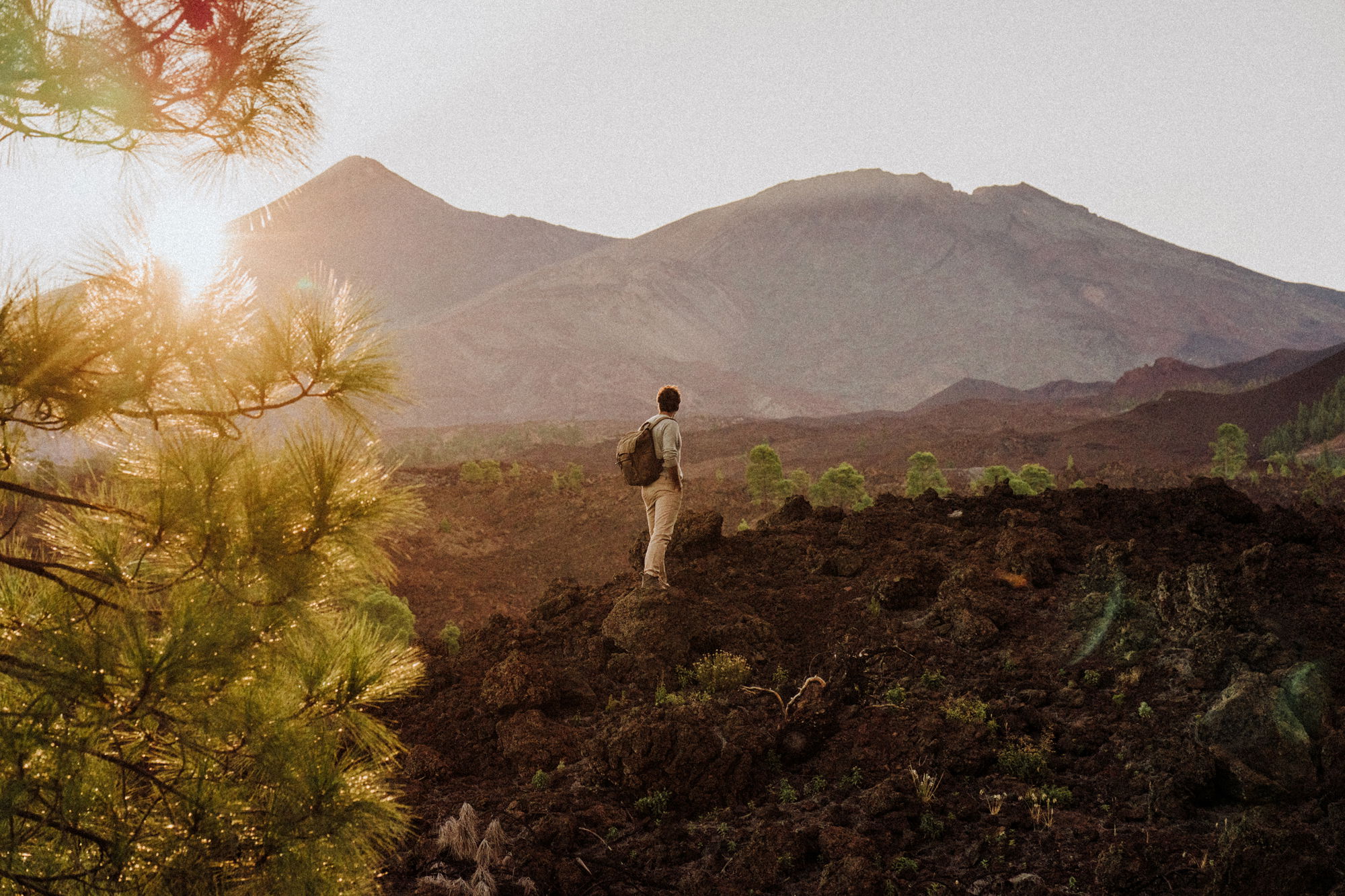 Hermétique Tourer Brown | Baltic Watches
